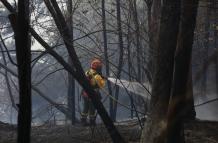 Incendios forestales han generado preocupación en Quito.