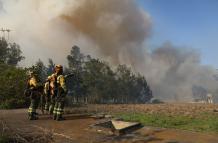 Bomberos de Quito trabajan en los incendios forestales.