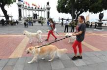 Podrás asistir a algunos lugares de esta agenda acompañado de tu mascota.