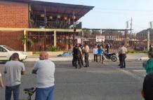 vinces.1
