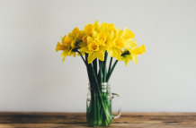 El 21 de septiembre es considerado el día de las flores amarillas.