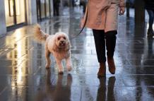 mujer-paseando-su-perro-mientras-llueve