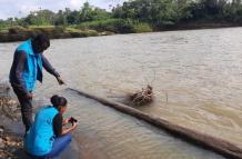 Hay alerta en Quinindé por manchas en el río Blanco.