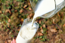 Una investigación de la Politécnica Nacional identificó plomo y aluminio en muestras de leche recolectada en Guayaquil, Quito y Cuenca.