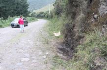 En este lugar se registró el hallazgo de la mujer, quien fue abandonada y quemada por sus asesinos.