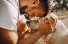 Los perros pueden identificar ciertos objetos por su nombre.