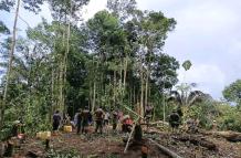 Habitantes de la comunidad de Tiwino ayudaron a construir un helipuerto improvisado.