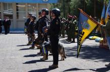 perros militares