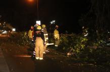 Miembros del Cuerpo de Bomberos llegaron a socorrer la emergencia.