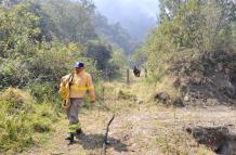 Bomberos de la zona centro del país trabajan en combatir el incendio forestal.