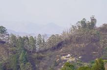 Dura batalla contra incendio forestal en Quilanga.