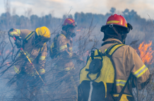 Referencial. Incendio forestal.