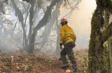 Bomberos combaten el incendio de Sigchos.