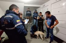 rescate de perro maltratado