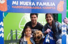 Adopcion animal: Mundo Mágico de mascotas