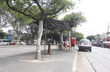 En este parterre de Sauces 5, en Guayaquil, ocurrió el asesinato.