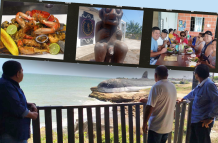 Playa Delfín