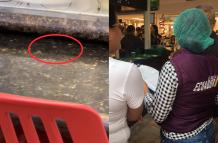 Estas fueron dos de las cucarachas captadas dentro de esa cafetería.