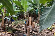 VIOLENCIA EN MACHALA