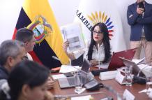 Viviana Veloz, presidenta de la Comisión de Protección Integral a Niñas, Niños y Adolescentes fue la encargada de dirigir esta sesión.