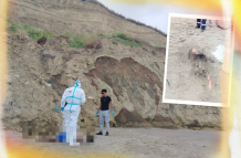 macabro hallazgo en Pedernales