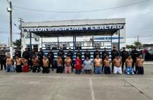 lobos saobox capturados