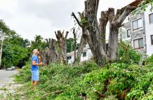 MOCHA DE ARBOLES (15023169)