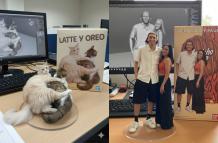 Gemini transforma imágenes en muñecos virtuales