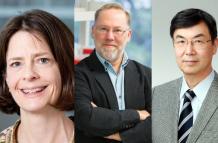 Mary Brunkow, Fred Ramsdell y Shimon Sakaguchi.