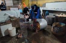 Camal clandestino - chanchos - faenamiento - pollos