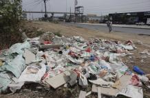 ¡Ratones y malos olores! Basura se acumula sin control en La Aurora