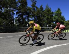 Tour de France 2024 - (13104151)