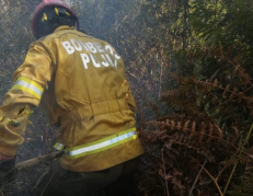 Incendio forestal en Sigchos, provincia de Cotopaxi.