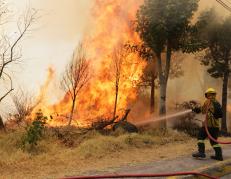 INCENDIOS FORESTALES QUITO