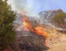 incendio en Loja