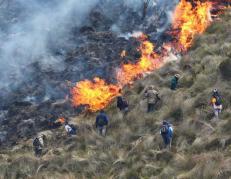 El Cuerpo de Bomberos de Cuenca lucha contra el fuego. Desde otras localidades se suman también especialistas.