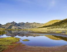 Laguna Ñatosa