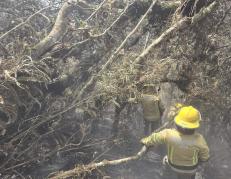 Los incendios forestales siguen descontrolados en Loja.