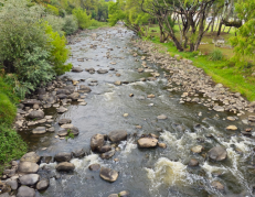 Los caudales de los ríos de Cuenca han mejorado gracias a las recientes lluvias.