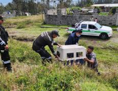 Unidad de Bienestar Animal retira un perro