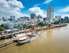 Un transporte fluvial moderno en Guayaquil requiere voluntad política para triunfar, según expertos.