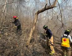 Los bomberos lograron apagar el fuego luego de dos días de labores.