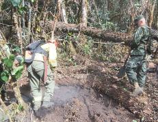 Cerca de 4 hectáreas de vegetación se han consumido por el fuego.