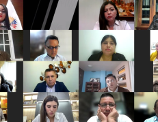 La Asamblea Nacional sesionó de manera virtual.