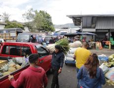 Solidaridad - Quito - proyecto