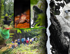 turismo en reserva de Quinindé