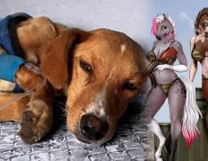 A la izquierda Teddy, un perro víctima de zoofilia. A la derecha, representaciones de animales sexualizados en Telegram.