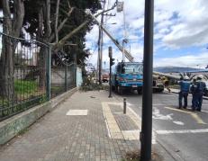 Caída de árbol - Quito - emergencia