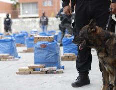 Decomiso de droga en Guayaquil