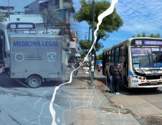 buses
